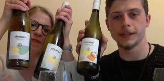 Wenn die Weinprobe ins Wohnzimmer kommt – Online-Weinprobe mit Malenka Stenner holt Weinerlebnis nach Hause