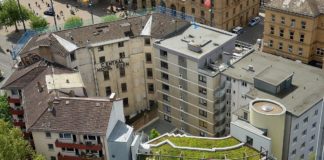 Moderne Dachbegrünung für Mainz – Piraten & Volt laden zur interaktiven Videokonferenz mit Experten am 9. Juni