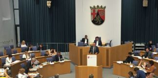 Entmachtung der Ortsbeiräte in Mainz: Das sagen die OB-Kandidaten Haase und Viering – Resolution und Fragebogen