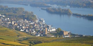 Online-Petition will Brücke für Fußgänger und Radfahrer zwischen Bingen und Rüdesheim