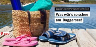 Petition für Baggersee in Mainz erreicht Quorum – CDU und ÖDP: Idee prüfen, Wasserspielplatz öffnen