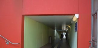 Polizeieinsatz Ingelheim: Was passierte genau im Tunnel am Bahnhof? – Bundespolizei klärt auf
