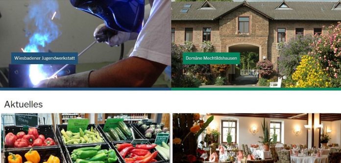 Salmonellenalarm in der Domäne Mechtildshausen: Biohofgut baut Geflügelhaltung um