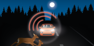 Sicherheits-App HessenWARN mit automatischem Wildwarner – Produktrückrufe und Coronawarner