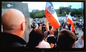 Rechtsextreme und Querdenker schwenken die Reichskriegsflagge auf den Stufen des Reichstags in Berlin. - Screenshot: gik