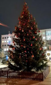 Der große Mainzer Weihnachtsbaum am Staatstheater erstrahlt in diesem Corona-Winter in ganz besonderem Glanz. - Foto: C. Schnarr