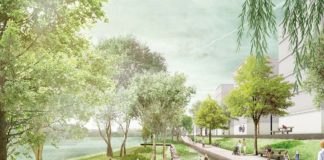 „Grünufer Nordmole“ im Mainzer Zollhafen: Sieger des Gestaltungswettbewerbs gekürt – Wiesen, Bäume und eine „Urbane Aue“
