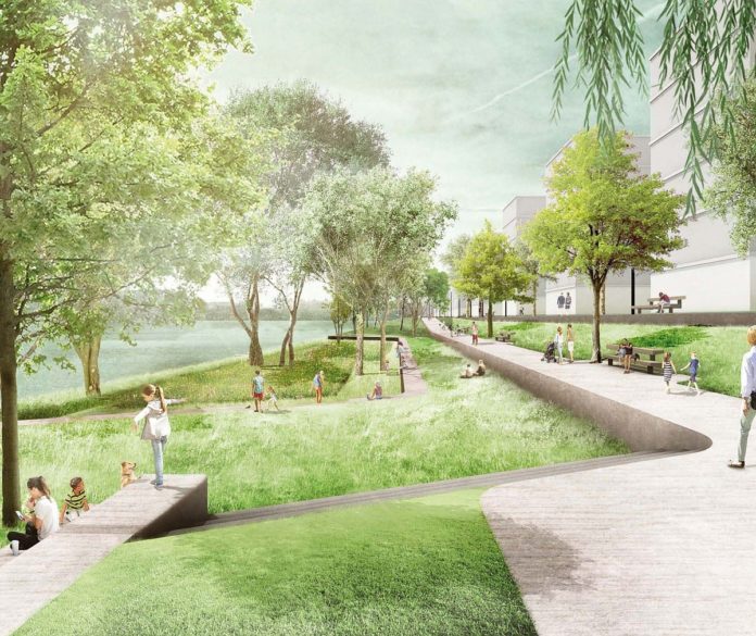 „Grünufer Nordmole“ im Mainzer Zollhafen: Sieger des Gestaltungswettbewerbs gekürt – Wiesen, Bäume und eine „Urbane Aue“