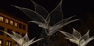 Sternschnuppenmarkt in Wiesbaden mit Riesenrad und Festbeleuchtung – Keine Eisbahn, reduzierte Innenstadt-Beleuchtung