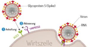 Mainzer Corona-Bekämpfer Biontech: Impfstoff wirkt auch gegen neue Mutation von Sars-CoV-2