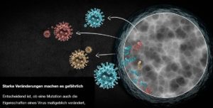 Grafische Darstellung der Mutation des neuen Coronavirus Sars-CoV-2 in der ZDF Heute-Story. - Grafik: ZDF Heute, Screenshot: gik