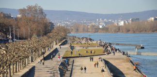 Volt Mainz kritisiert Maskenpflicht am Mainzer Rheinufer: „Sinnlos und kontraproduktiv“