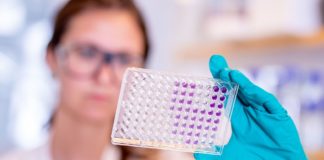 Corona-Ausbrüche in Mainzer Altenheimen – Corona-Inzidenz in Mainz bei 89,1 – Flopp Hospitalisierungsquote