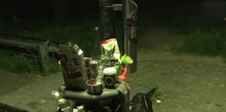 Müllproblem Pizzakartons: Stadt Mainz appelliert an Picknicker – Walluf im Rheingau nutzt spezielle Mülleimer für Pizzakartons