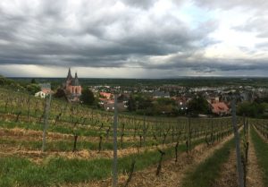 Dunkelgraue Wolken Mitte Mai über Oppenheim: Kaltes Frühjahr, verregneter Sommer - 2021 war bislang kein vielversprechendes Weinjahr. - Foto: gik