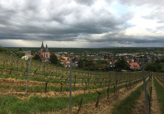Umfrage zu 75 Jahre Rheinland-Pfalz: Schlechte Noten für Verkehr, Nahverkehr, moderne Entwicklung, Katastrophenschutz