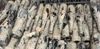 Lösung für Winzerspenden an der Ahr in Sicht? – Bundesminister Lindner deutet „Auszahlungsweg“ an, verweist aber aufs Land