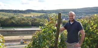 Weinjahrgang voller Wunder – Weinlese an der Ahr ein Vierteljahr nach der Flutkatastrophe – Flutwein und Zukunftsangst