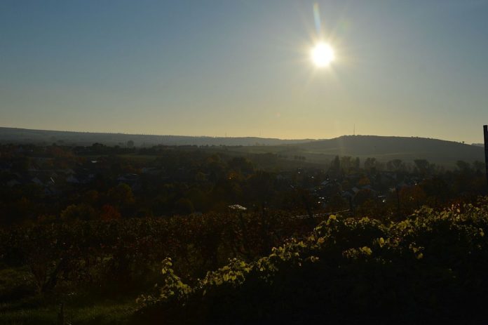 Warnung vor extremer Hitze am Dienstag: Hitzetipps bei der Stadt Mainz, Hitzeaktionsplan in Wiesbaden
