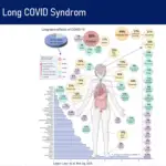 Long Covid Symptome – Grafik Mainzer Universitätsmedizin