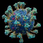 Wissenschaftlich akurates Atommodell Coronavirus SARS-CoV-2 kleiner – Foto via Wikipedia von Alexey Solodovnikov
