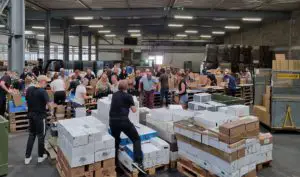 Zehntausende von Weinflaschen wurden als Hilfsaktion für Weingüter an der Ahr im vergangenen Jahr gepackt, hier eine Aktion in Bodenheim. - Foto: DWI/Büscher