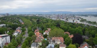 Landesgartenschau 2027 findet in Neustadt an der Weinstraße statt – Mainz geht leer aus