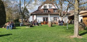 Eine große, kurz geschnittenen Rasenfläche verschlingt viel Wasser. - Foto: Weingut Hahnenhof