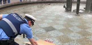 Polizei in Mainz im MacGyver-Einsatz: Erste Mainzer Entenrampe für Entenfamilie im Fastnachtsbrunnen