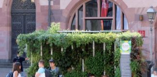 „Mobiles Grünes Zimmer“ jetzt auch für Mainz: Mobile Grünanlage gegen Klimawandel und für mehr Grün in der Stadt