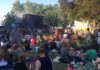 Vogelkinder fürs Open Ohr-Festival getötet? – Linkes Festival auf der Zitadelle stört Singvögel in der Brut- und Nistzeit