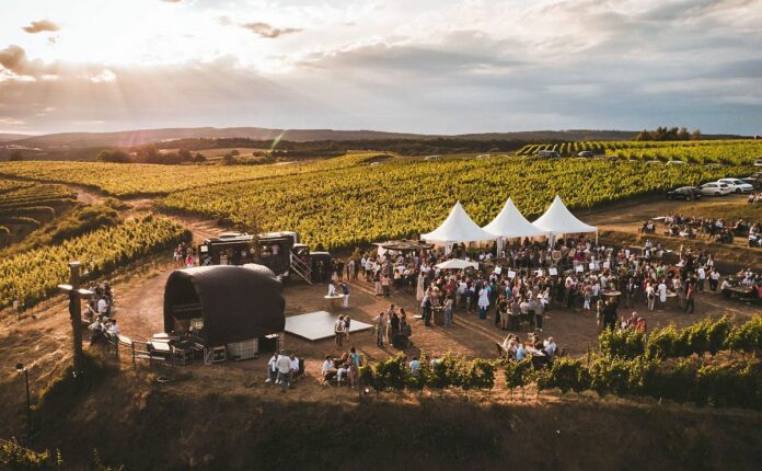 Rebenbeben lockt wieder an die Nahe: Coole Weinparty hoch über Wallhausen mit Weinbar und Live Musik