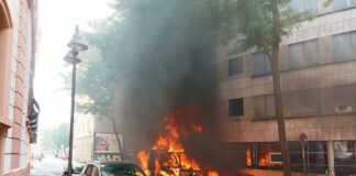 Kehrmaschine fängt mitten in Mainz Feuer – Bäume und Pkws beschädigt – Feuer rast durch Kanalisation