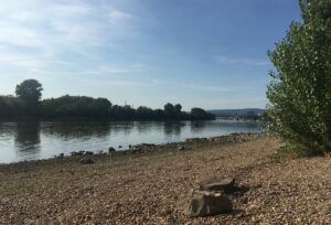 Niedrigwasser am Rheinufer bei Mainz im Sommer 2020. - Foto: gik