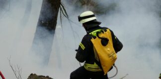 Kampf gegen Waldbrände: CDU und Freie Wähler in Mainz fordern bessere Ausstattung der Feuerwehren