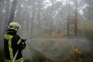 Sind die Feuerwehren in Rheinland-Pfalz gut genug für Waldbrände ausgerüstet? - Foto: Niedersächsischer Landesforsten