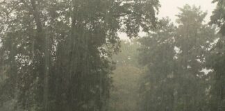 Heftiges Unwetter über Mainz und Rhein-Main flutete Keller, Unterführungen und Rollfeld in Frankfurt – Zehntausende Blitze, Hunderte Notrufe