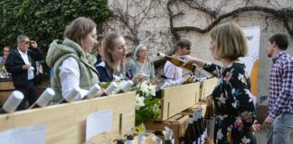 Wein in Mainz: Hechtsheimer Winzertage laden zur Verkostung des neuen Weinjahrgangs 2022