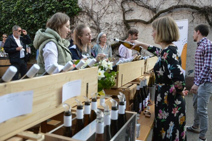 Winzertage und Kerb in Mainz-Hechtsheim: Zwei Wochenenden mit Wein, Buden und Leberknödelessen