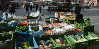 Ist das noch gut oder muss das schon weg? – Verbraucherzentrale Mainz gibt Tipps gegen Lebensmittelverschwendung