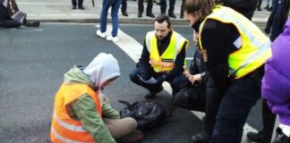 Letzte Generation blockierte Alicenbrücke in Mainz – Verkehrsstaus, verspätete Zeugen, viel Unmut und Kritik