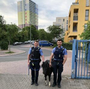 Die Polizeiinspektion 3 auf dem Mainzer Lerchenberg hat ein Herz für Tiere - hier sind die Kollegen mit einem entlaufenen Pony zu sehen. - Foto: Polizei Mainz