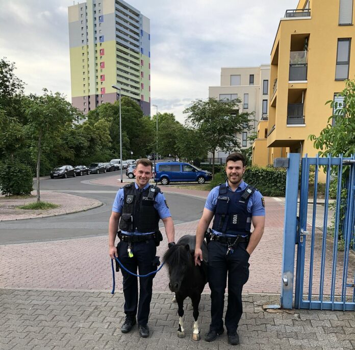 Wegen giftiger Schimmelbildung: Polizeiinspektion auf dem Lerchenberg in Mainz dicht, mehrere Beamte erkrankt