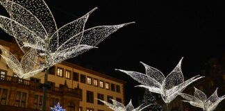 Wiesbaden: Kostenlose Busse an Adventssamstagen – Sternschnuppen-Shuttle und bewachte Fahrradgarage