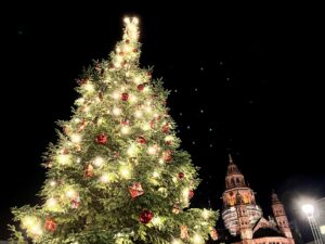 Für die Weihnachtsbäume schlägt nun die letzte Stunde: Am 7. Januar ist Weihnachtsbaumabfuhr in Mainz. - Foto: gik