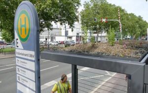 Grünes Dach für das Wartehäuschen: Von solchen grünen Haltestellen gibt es in Mainz erst fünf. - Foto: Mainzer Mobilität