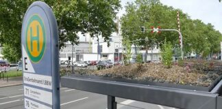 Erst fünf begrünte Haltestellen in Mainz: Grüne Dächer auf Wartehäuschen noch selten – Keine Nachrüstung, kein schneller Austausch