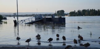 Wann wird’s endlich Sommer? Juni 2024 kalt wie 2012 nicht mehr – Hochwasser bei Mainz beschädigt Freibad Maaraue und Rettbergsaue