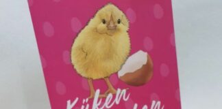 Küken beim Schlüpfen zusehen: Attraktion im Naturhistorischen Museum in Mainz noch bis nach Ostern