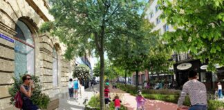 Petition für Grünachsen in Mainz gestartet: Klimainitiative MainzZero stellt Forderungen an neuen Mainzer OB Haase
